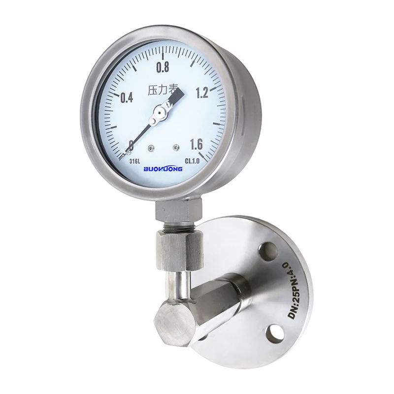 SS316 Diaphragm Seal  Pressure Gauge (3)