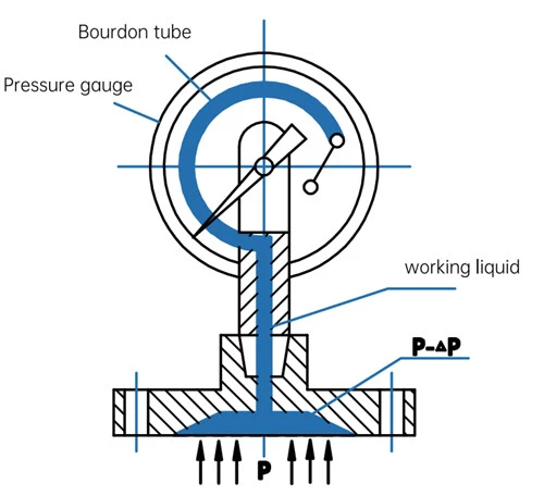 SS316 Diaphragm Seal  Pressure Gauge (1)